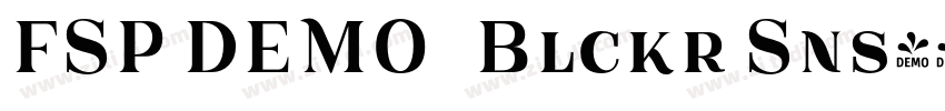 FSP DEMO   Blckr Sns字体转换